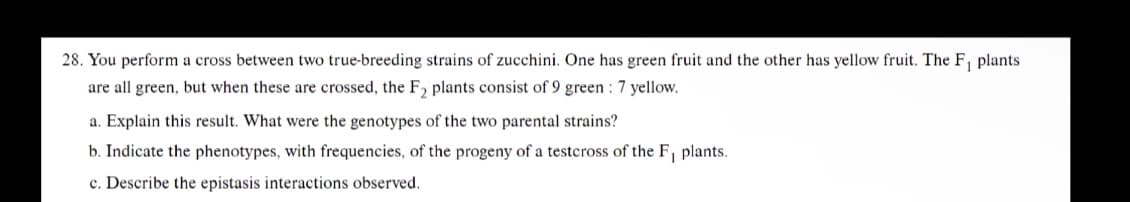 28. You perform a cross between two true-breeding strains of zucchini. One has green fruit and the other has yellow fruit. The F₁ plants.
are all green, but when these are crossed, the F₂ plants consist of 9 green : 7 yellow.
a. Explain this result. What were the genotypes of the two parental strains?
b. Indicate the phenotypes, with frequencies, of the progeny of a testcross of the F₁ plants.
c. Describe the epistasis interactions observed.