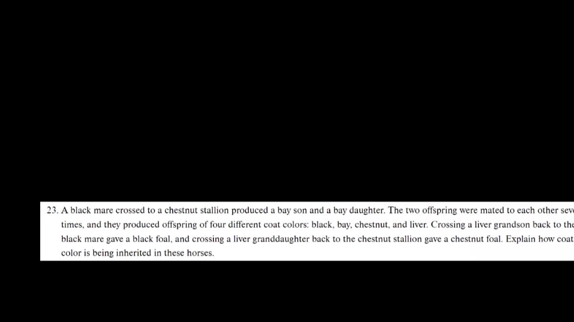 23. A black mare crossed to a chestnut stallion produced a bay son and a bay daughter. The two offspring were mated to each other seve
times, and they produced offspring of four different coat colors: black, bay, chestnut, and liver. Crossing a liver grandson back to the
black mare gave a black foal, and crossing a liver granddaughter back to the chestnut stallion gave a chestnut foal. Explain how coat
color is being inherited in these horses.