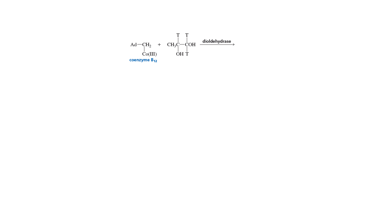 T
dioldehydrase
Ad-CH,
CHĄC-COH
+
OH T
Čo(III)
ОН Т
coenzyme B12
