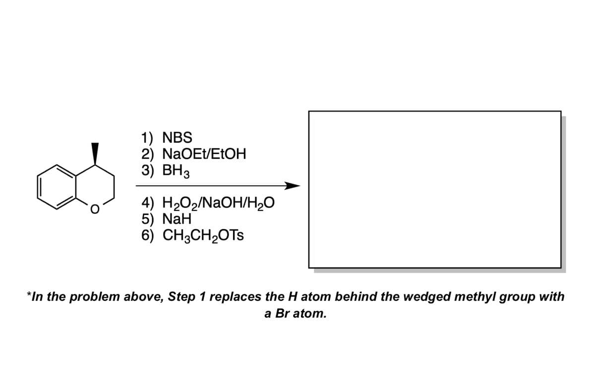 os
1) NBS
2) NaOEt/EtOH
3) BH3
4) H₂O₂/NaOH/H₂O
5) NaH
6) CH3CH₂OTs
*In the problem above, Step 1 replaces the H atom behind the wedged methyl group with
a Bratom.