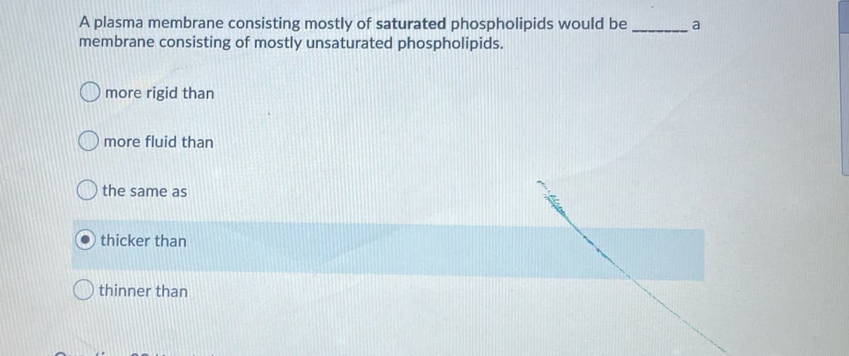 A plasma membrane consisting mostly of saturated phospholipids would be
membrane consisting of mostly unsaturated phospholipids.
a
O more rigid than
O more fluid than
the same as
thicker than
thinner than
