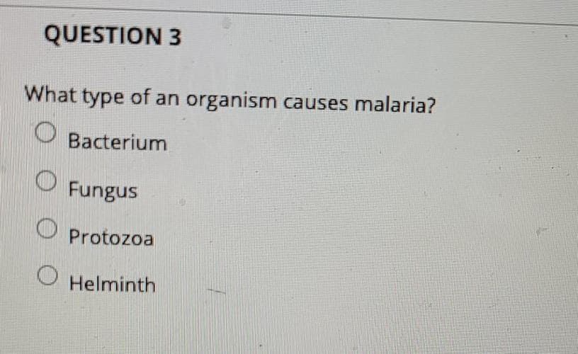 QUESTION 3
What type of an organism causes malaria?
Ⓡ Bacterium
● Fungus
O Protozoa
1 Helminth