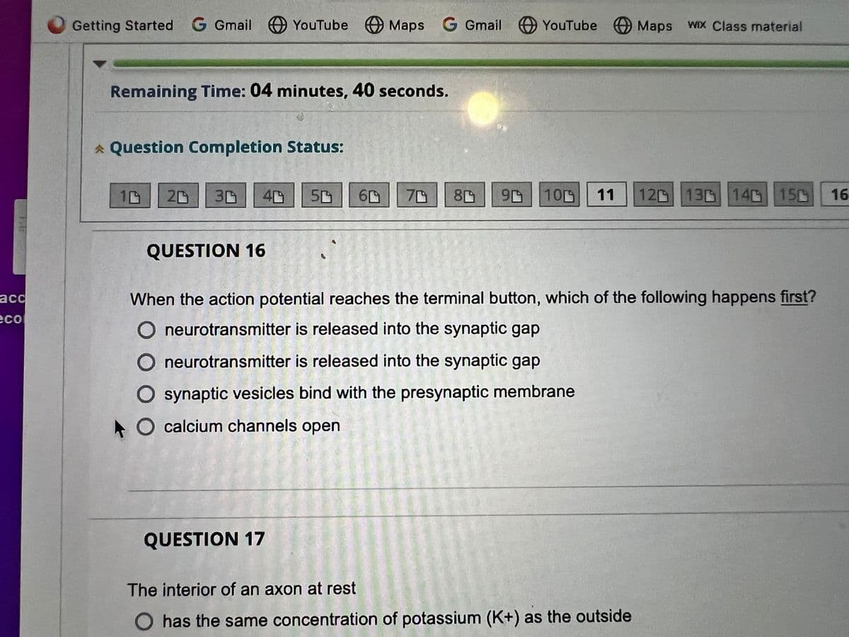acc
eco
Getting Started G Gmail YouTube Maps G Gmail YouTube Maps
Remaining Time: 04 minutes, 40 seconds.
* Question Completion Status:
10
20 3D 40 50 60 70 80 90 10
QUESTION 16
neurotransmitter is released into the synaptic gap
synaptic vesicles bind with the presynaptic membrane
O calcium channels open
11
QUESTION 17
When the action potential reaches the terminal button, which of the following happens first?
neurotransmitter is released into the synaptic gap
WIX Class material
The interior of an axon at rest
has the same concentration of potassium (K+) as the outside
12 13 14 15 16