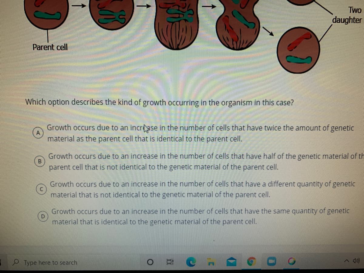 Two
daughter
Parent cell
Which option describes the kind of growth occurring in the organism in this case?
Growth occurs due to an incrsse in the number of cells that have twice the amount of genetic
material as the parent cell that is identical to the parent cell.
Growth occurs due to an increase in the number of cells that have half of the genetic material of th
parent cell that is not identical to the genetic material of the parent cell.
Growth occurs due to an increase in the number of cells that have a different quantity of genetic
material that is not identical to the genetic material of the parent cell.
Growth occurs due to an increase in the number of cells that have the same quantity of genetic
material that is identical to the genetic material of the parent cell.
Type here to search
