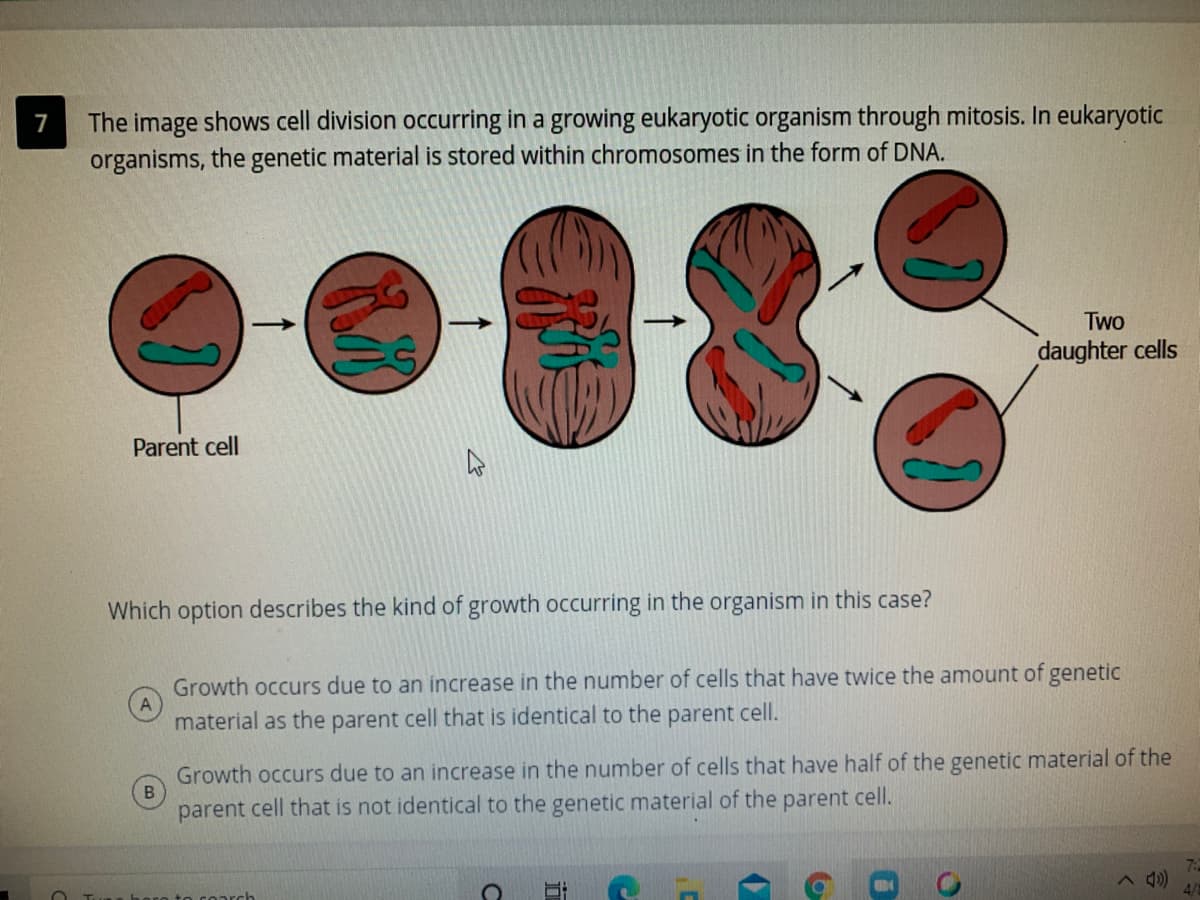 The image shows cell division occurring in a growing eukaryotic organism through mitosis. In eukaryotic
organisms, the genetic material is stored within chromosomes in the form of DNA.
7
Two
daughter cells
Parent cell
Which option describes the kind of growth occurring in the organism in this case?
Growth occurs due to an increase in the number of cells that have twice the amount of genetic
material as the parent cell that is identical to the parent cell.
Growth occurs due to an increase in the number of cells that have half of the genetic material of the
parent cell that is not identical to the genetic material of the parent cell.
4/
