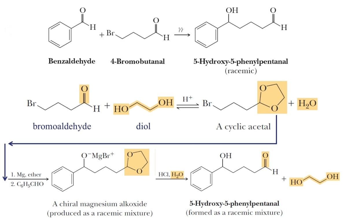 H
Benzaldehyde
Br.
bromoaldehyde
1. Mg, ether
+
Br.
4-Bromobutanal
H
OH
H
5-Hydroxy-5-phenylpentanal
(racemic)
OH
H+
Br.
H
+
HO
diol
Q-MgBr+
HCl, H₂O
A cyclic acetal
+H.O
OH
H
OH
+ HO
2. C6H5CHO
A chiral magnesium alkoxide
(produced as a racemic mixture)
5-Hydroxy-5-phenylpentanal
(formed as a racemic mixture)
