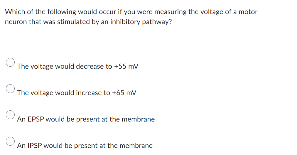 Which of the following would occur if you were measuring the voltage of a motor
neuron that was stimulated by an inhibitory pathway?
The voltage would decrease to +55 mV
The voltage would increase to +65 mV
An EPSP would be present at the membrane
An IPSP would be present at the membrane