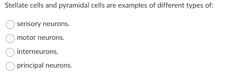Stellate cells and pyramidal cells are examples of different types of:
sensory neurons.
motor neurons.
interneurons.
principal neurons.
