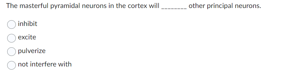 The masterful pyramidal neurons in the cortex will
inhibit
excite
pulverize
not interfere with
other principal neurons.