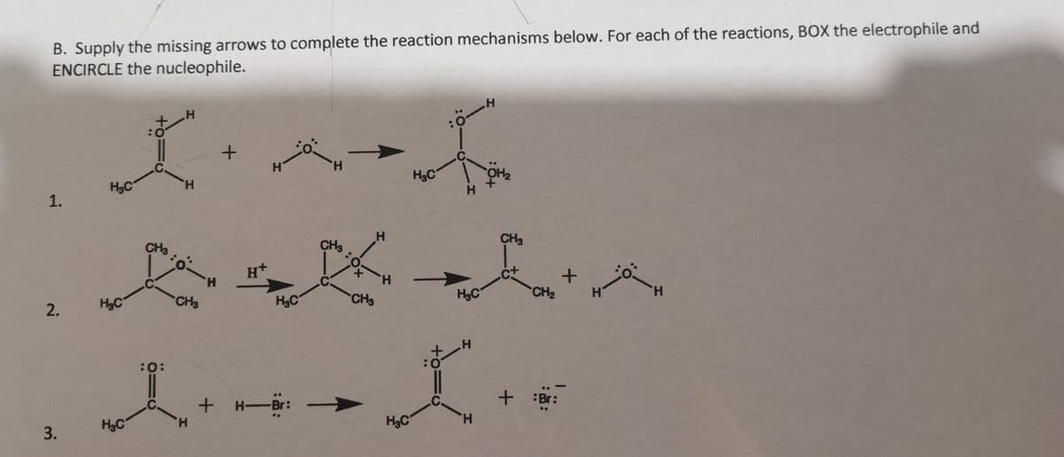 B. Supply the missing arrows to complete the reaction mechanisms below. For each of the reactions, BOX the electrophile and
ENCIRCLE the nucleophile.
1.
2.
3.
о
хлеба
+
5-
Н
HC
нс
НС
:0
CH3
:0:
Н
Н
CH3
-
H
Н
H+
Н С
+ H-Br:
CH3
Н
CH3
НС
:0
H
H C
_н
-н
т
Н
CH3
CH₂
+ :Br:
+
Н
о
-н