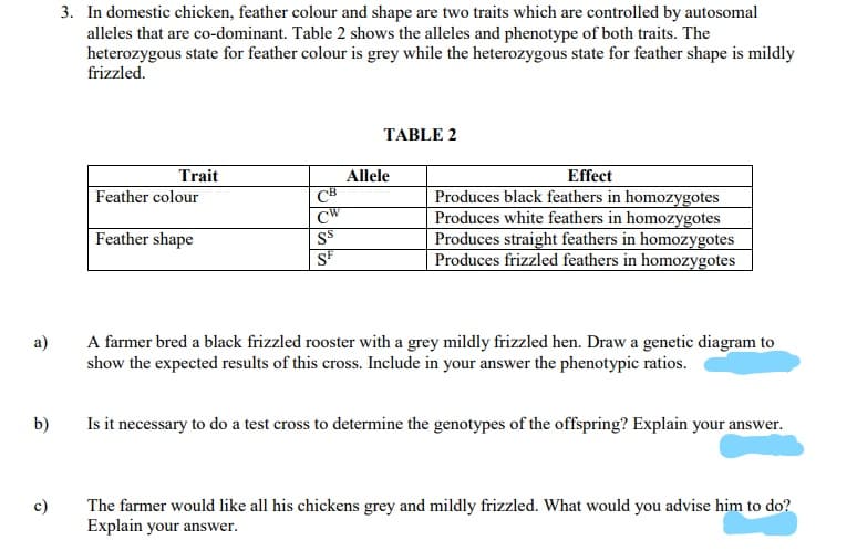 3. In domestic chicken, feather colour and shape are two traits which are controlled by autosomal
alleles that are co-dominant. Table 2 shows the alleles and phenotype of both traits. The
heterozygous state for feather colour is grey while the heterozygous state for feather shape is mildly
frizzled.
TABLE 2
Trait
Effect
Produces black feathers in homozygotes
Produces white feathers in homozygotes
Produces straight feathers in homozygotes
Produces frizzled feathers in homozygotes
Allele
Feather colour
CW
Feather shape
SF
a)
A farmer bred a black frizzled rooster with a grey mildly frizzled hen. Draw a genetic diagram to
show the expected results of this cross. Include in your answer the phenotypic ratios.
b)
Is it necessary to do a test cross to determine the genotypes of the offspring? Explain your answer.
c)
The farmer would like all his chickens grey and mildly frizzled. What would you advise him to do?
Explain your answer.
