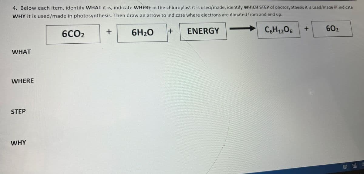 4. Below each item, identify WHAT it is, indicate WHERE in the chloroplast it is used/made, identify WHICH STEP of photosynthesis it is used/made in, indicate
WHY it is used/made in photosynthesis. Then draw an arrow to indicate where electrons are donated from and end up.
6CO2
6H₂0
ENERGY
C6H12O6
WHAT
WHERE
STEP
WHY
+
+
+
60₂
E
E
