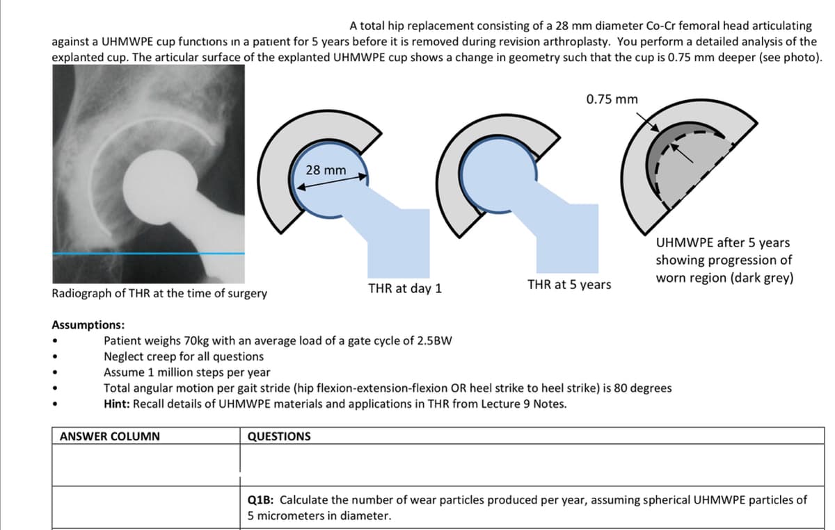 A total hip replacement consisting of a 28 mm diameter Co-Cr femoral head articulating
against a UHMWPE cup functions in a patient for 5 years before it is removed during revision arthroplasty. You perform a detailed analysis of the
explanted cup. The articular surface of the explanted UHMWPE cup shows a change in geometry such that the cup is 0.75 mm deeper (see photo).
Radiograph of THR at the time of surgery
Assumptions:
28 mm
Patient weighs 70kg with an average load of a gate cycle of 2.5BW
Neglect creep for all questions
Assume 1 million steps per year
ANSWER COLUMN
THR at day 1
QUESTIONS
0.75 mm
THR at 5 years
Total angular motion per gait stride (hip flexion-extension-flexion OR heel strike to heel strike) is 80 degrees
Hint: Recall details of UHMWPE materials and applications in THR from Lecture 9 Notes.
UHMWPE after 5 years
showing progression of
worn region (dark grey)
Q1B: Calculate the number of wear particles produced per year, assuming spherical UHMWPE particles of
5 micrometers in diameter.