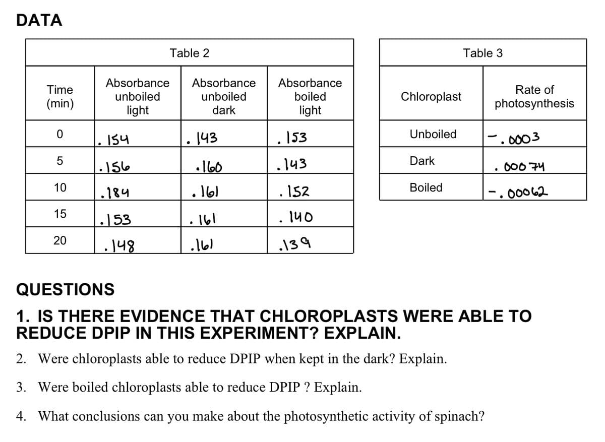 DATA
Table 2
Table 3
Absorbance
Absorbance
Absorbance
Time
Rate of
unboiled
unboiled
boiled
Chloroplast
(min)
photosynthesis
light
dark
light
143
153
Unboiled
. 0003
5
| .156
•160
.143
Dark
000 74
10
-184
.152
Boiled
-. 00062
15
.]53
161
. 140
20
.148
139
QUESTIONS
1. IS THERE EVIDENCE THAT CHLOROPLASTS WERE ABLE TO
REDUCE DPIP IN THIS EXPERIMENT? EXPLAIN.
2. Were chloroplasts able to reduce DPIP when kept in the dark? Explain.
3. Were boiled chloroplasts able to reduce DPIP ? Explain.
4. What conclusions can you make about the photosynthetic activity of spinach?
