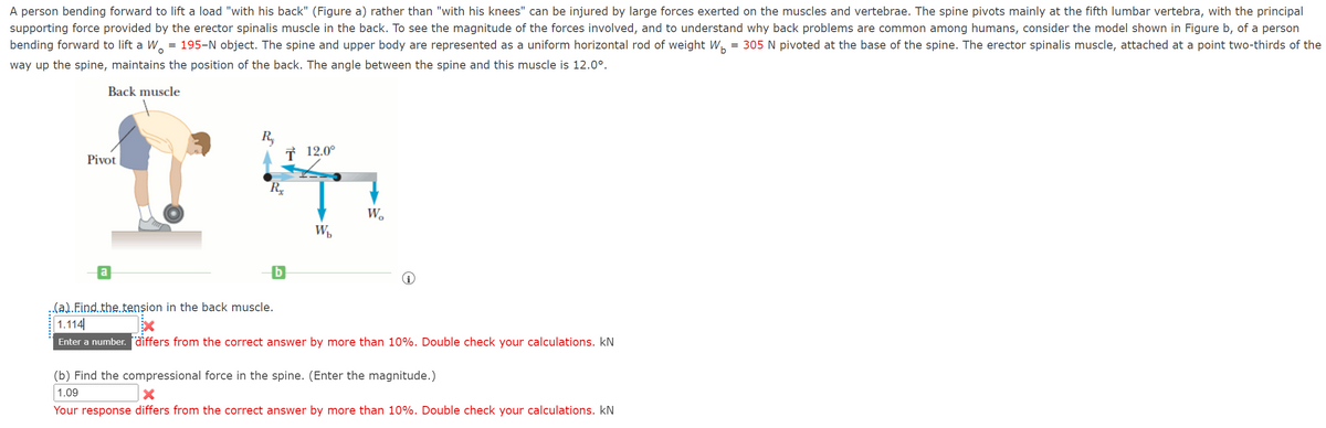 A person bending forward to lift a load "with his back" (Figure a) rather than "with his knees" can be injured by large forces exerted on the muscles and vertebrae. The spine pivots mainly at the fifth lumbar vertebra, with the principal
supporting force provided by the erector spinalis muscle in the back. To see the magnitude of the forces involved, and to understand why back problems are common among humans, consider the model shown in Figure b, of a person
bending forward to lift a Wo = 195-N object. The spine and upper body are represented as a uniform horizontal rod of weight W₁ = 305 N pivoted at the base of the spine. The erector spinalis muscle, attached at a point two-thirds of the
way up the spine, maintains the position of the back. The angle between the spine and this muscle is 12.0⁰.
Back muscle
R₂
T 12.0°
1T
Rx
Pivot
a
Wb
Wo
..(a).Find the tension in the back muscle.
1.114
Enter a number. differs from the correct answer by more than 10%. Double check your calculations. kN
(b) Find the compressional force in the spine. (Enter the magnitude.)
1.09
Your response differs from the correct answer by more than 10%. Double check your calculations. kN