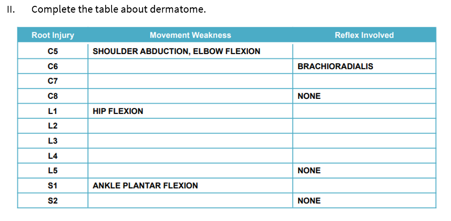 II. Complete the table about dermatome.
Root Injury
C5
C6
C7
C8
L1
L2
L3
L4
L5
S1
S2
Movement Weakness
SHOULDER ABDUCTION, ELBOW FLEXION
HIP FLEXION
ANKLE PLANTAR FLEXION
BRACHIORADIALIS
NONE
NONE
Reflex Involved
NONE