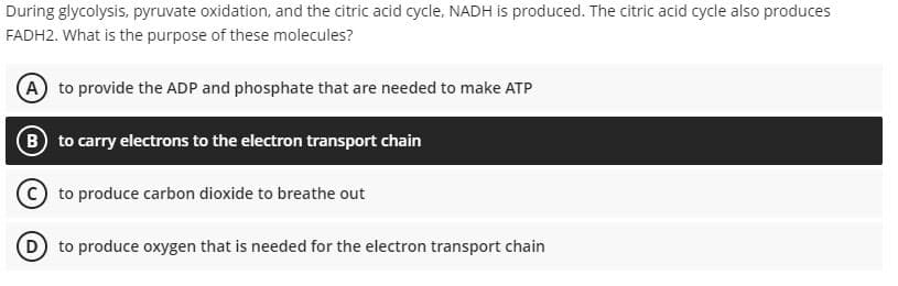 During glycolysis, pyruvate oxidation, and the citric acid cycle, NADH is produced. The citric acid cycle also produces
FADH2. What is the purpose of these molecules?
A to provide the ADP and phosphate that are needed to make ATP
B to carry electrons to the electron transport chain
to produce carbon dioxide to breathe out
to produce oxygen that is needed for the electron transport chain
