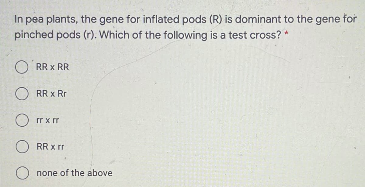 In pea plants, the gene for inflated pods (R) is dominant to the gene for
pinched pods (r). Which of the following is a test cross?
O RR x RR
RR x Rr
O rr x rr
RR x rr
O none of the above
