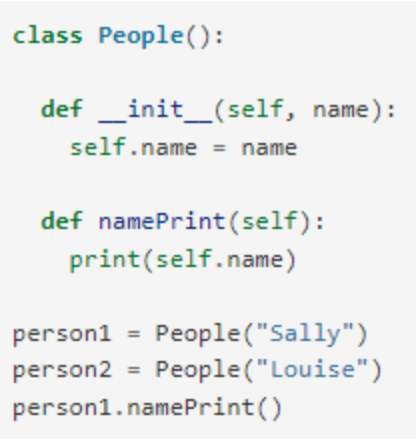class People():
def _init_(self, name):
self.name = name
def namePrint(self):
print(self.name)
person1 = People("Sally")
person2 = People("Louise")
person1.namePrint()
