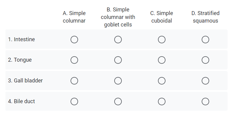 B. Simple
A. Simple
C. Simple
D. Stratified
columnar with
columnar
cuboidal
squamous
goblet cells
1. Intestine
2. Tongue
3. Gall bladder
4. Bile duct
