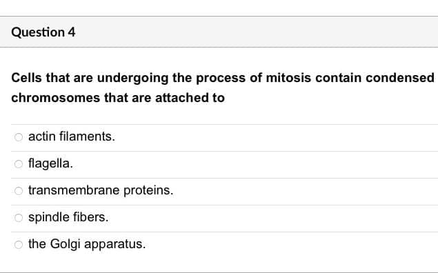 Question 4
Cells that are undergoing the process of mitosis contain condensed
chromosomes that are attached to
actin filaments.
O flagella.
O transmembrane proteins.
Ospindle fibers.
O the Golgi apparatus.