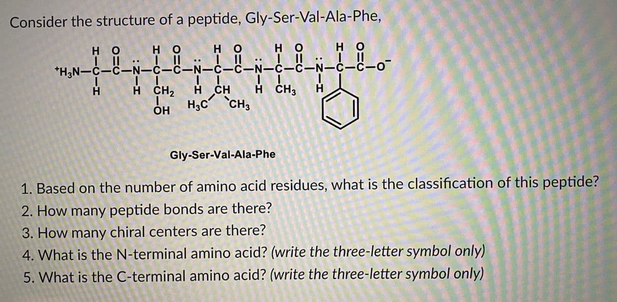 Consider the structure of a peptide, Gly-Ser-Val-Ala-Phe,
H.
но
H.
но
но
H O
но
*H3N-C-C-N-C-C-N-C-C-N-ċ-C-N-C-C-O
H ČH3
CH, H
H CH
H3c CH3
H H CH2
H.
ОН
Gly-Ser-Val-Ala-Phe
1. Based on the number of amino acid residues, what is the classification of this peptide?
2. How many peptide bonds are there?
3. How many chiral centers are there?
4. What is the N-terminal amino acid? (write the three-letter symbol only)
5. What is the C-terminal amino acid? (write the three-letter symbol only)
