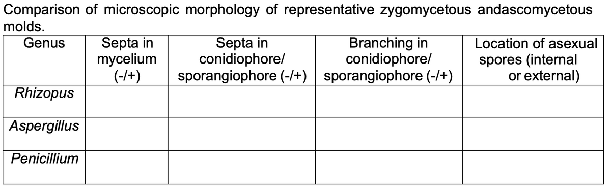 Comparison of microscopic morphology of representative zygomycetous andascomycetous
molds.
Septa in
mycelium
(-/+)
Septa in
conidiophore/
sporangiophore (-/+) | sporangiophore (-/+)
Genus
Location of asexual
Branching in
conidiophore/
spores (internal
or external)
Rhizopus
Aspergillus
Penicillium
