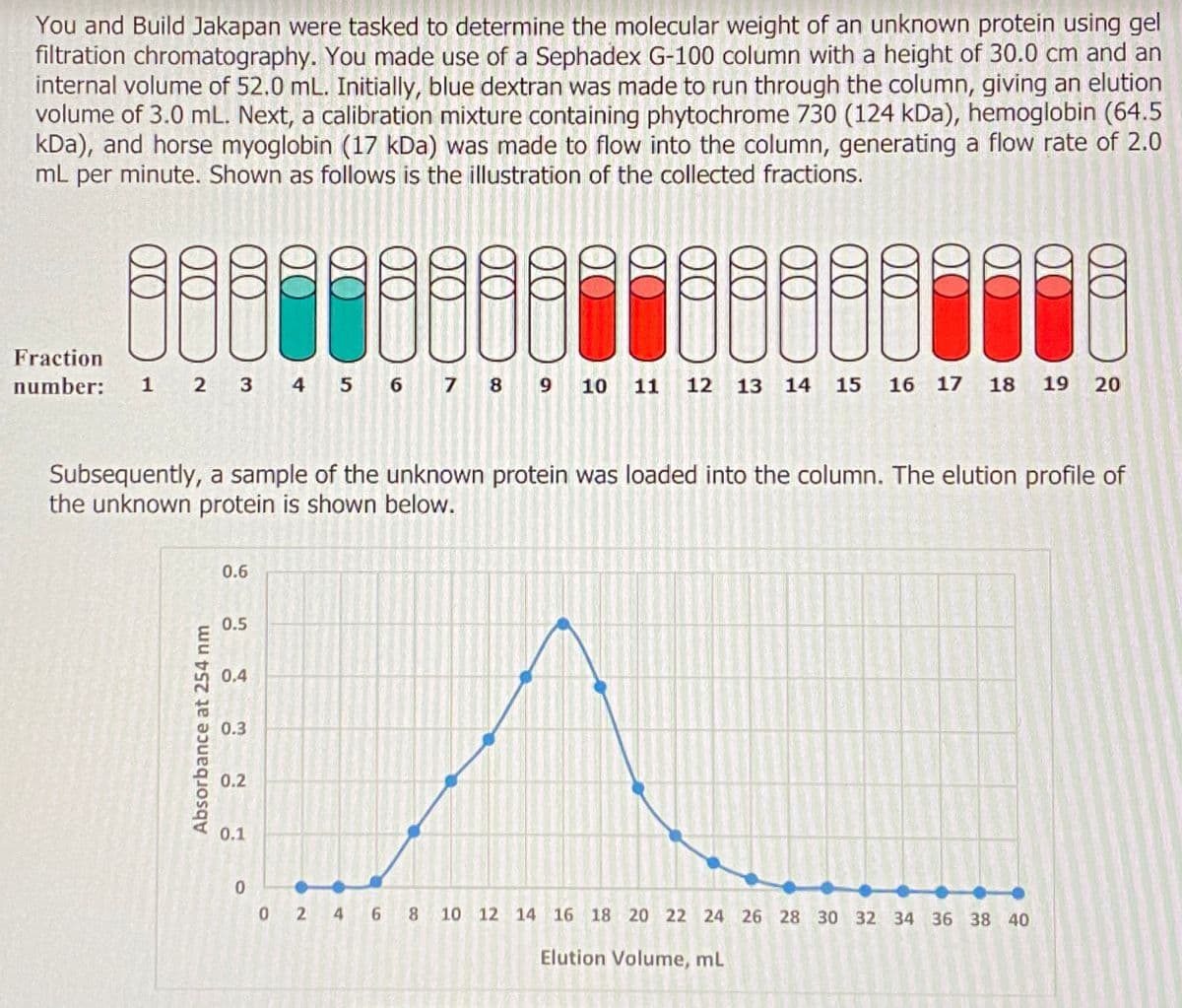 You and Build Jakapan were tasked to determine the molecular weight of an unknown protein using gel
filtration chromatography. You made use of a Sephadex G-100 column with a height of 30.0 cm and an
internal volume of 52.0 mL. Initially, blue dextran was made to run through the column, giving an elution
volume of 3.0 mL. Next, a calibration mixture containing phytochrome 730 (124 kDa), hemoglobin (64.5
kDa), and horse myoglobin (17 kDa) was made to flow into the column, generating a flow rate of 2.0
mL per minute. Shown as follows is the illustration of the collected fractions.
Fraction
number:
¯ÐÐ¯¯¤¤ÐÐ¶¶ÐÐ ÐÐ¡¡8
1 2 2 3 4 5 6 7 8 9 10 11 12 13 14 15 16 17 18 19 20
Subsequently, a sample of the unknown protein was loaded into the column. The elution profile of
the unknown protein is shown below.
Absorbance at 254 nm
0.6
0.5
0.4
0.3
0.2
0.1
0
0 2 4 6 8 10 12 14 16 18 20 22 24 26 28 30 32 34 36 38 40
Elution Volume, mL