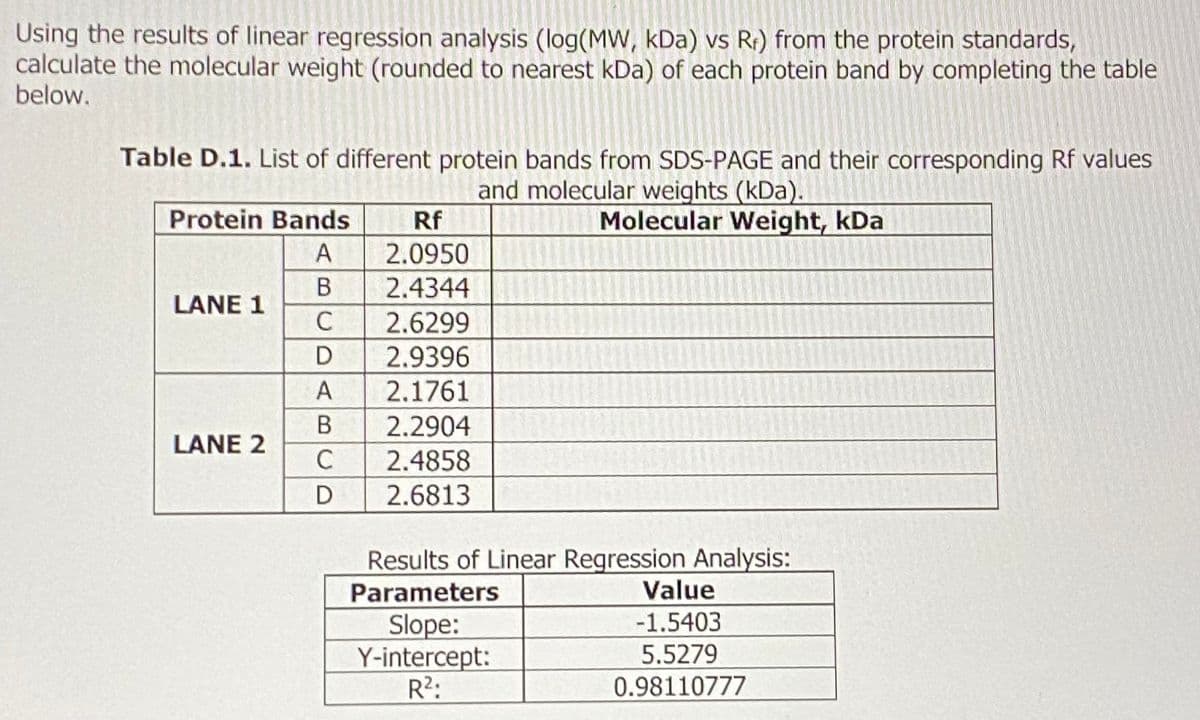 Using the results of linear regression analysis (log(MW, kDa) vs Rr) from the protein standards,
calculate the molecular weight (rounded to nearest kDa) of each protein band by completing the table
below.
Table D.1. List of different protein bands from SDS-PAGE and their corresponding Rf values
and molecular weights (kDa).
Protein Bands
A
B
C
D
A
B
C
D
LANE 1
LANE 2
Rf
2.0950
2.4344
2.6299
2.9396
2.1761
2.2904
2.4858
2.6813
Molecular Weight, kDa
Results of Linear Regression Analysis:
Parameters
Slope:
Y-intercept:
R²:
Value
-1.5403
5.5279
0.98110777