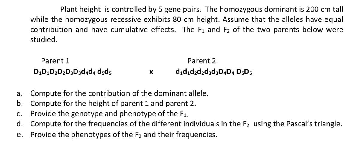 Plant height is controlled by 5 gene pairs. The homozygous dominant is 200 cm tall
while the homozygous recessive exhibits 80 cm height. Assume that the alleles have equal
contribution and have cumulative effects. The F1 and F2 of the two parents below were
studied.
Parent 1
Parent 2
D,D,D2D2D3D3d4ad4 dsds
dıdıd2d2d3d3DaD4 D5D5
a. Compute for the contribution of the dominant allele.
b. Compute for the height of parent 1 and parent 2.
Provide the genotype and phenotype of the F1.
d. Compute for the frequencies of the different individuals in the F2 using the Pascal's triangle.
Provide the phenotypes of the F2 and their frequencies.
С.
е.
