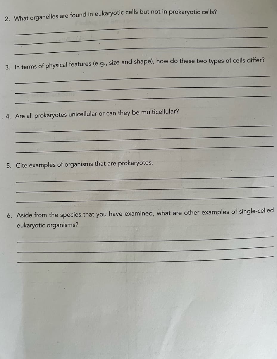 2. What organelles are found in eukaryotic cells but not in prokaryotic cells?
3. In terms of physical features (e.g., size and shape), how do these two types of cells differ?
4. Are all prokaryotes unicellular or can they be multicellular?
5. Cite examples of organisms that are prokaryotes.
6. Aside from the species that you have examined, what are other examples of single-celled
eukaryotic organisms?