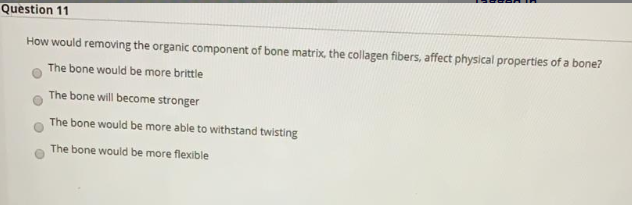 Question 11
How would removing the organic component of bone matrix, the collagen fibers, affect physical properties of a bone?
The bone would be more brittle
The bone will become stronger
The bone would be more able to withstand twisting
The bone would be more flexible
