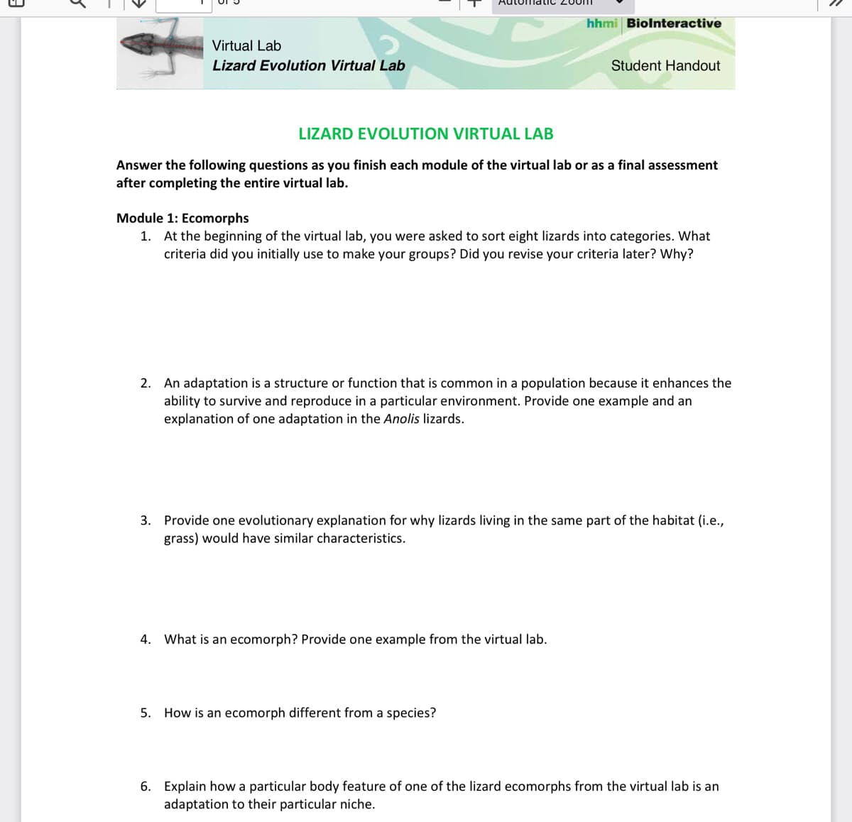 Virtual Lab
Lizard Evolution Virtual Lab
hhmi Biolnteractive
LIZARD EVOLUTION VIRTUAL LAB
Answer the following questions as you finish each module of the virtual lab or as a final assessment
after completing the entire virtual lab.
Student Handout
Module 1: Ecomorphs
1. At the beginning of the virtual lab, you were asked to sort eight lizards into categories. What
criteria did you initially use to make your groups? Did you revise your criteria later? Why?
2. An adaptation is a structure or function that is common in a population because it enhances the
ability to survive and reproduce in a particular environment. Provide one example and an
explanation of one adaptation in the Anolis lizards.
4. What is an ecomorph? Provide one example from the virtual lab.
3. Provide one evolutionary explanation for why lizards living in the same part of the habitat (i.e.,
grass) would have similar characteristics.
5. How is an ecomorph different from a species?
6. Explain how a particular body feature of one of the lizard ecomorphs from the virtual lab is an
adaptation to their particular niche.