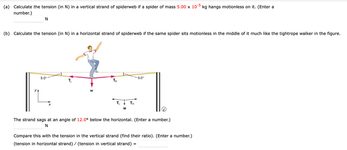 (a) Calculate the tension (in N) in a vertical strand of spiderweb if a spider of mass 5.00 x 10¯º kg hangs motionless on it. (Enter a
number.)
N
(b) Calculate the tension (in N) in a horizontal strand of spiderweb if the same spider sits motionless in the middle of it much like the tightrope walker in the figure.
5.0°
5.0°
T.
w
T. TR
The strand sags at an angle of 12.0° below the horizontal. (Enter a number.)
N
Compare this with the tension in the
rtical strand (find their ratio). (Enter a number.)
(tension in horizontal strand) / (tension in vertical strand)
