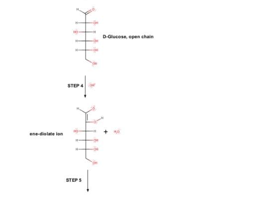 HD
D-Glucose, open chain
STEP 4 O
+ H0
ene-diolate ion
H-
STEP 5
