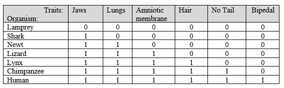 Traits:
Jaws
Lungs
Amniotic
Hair
No Tail
Вiреdal
Organism:
Lamprey
Shark
membrane
1
Newt
1
1
Lizard
1.
1
1
Lynx
Chimpanzee
Human
1
1
1
1.
1.
1
1
1
1
1.
1
