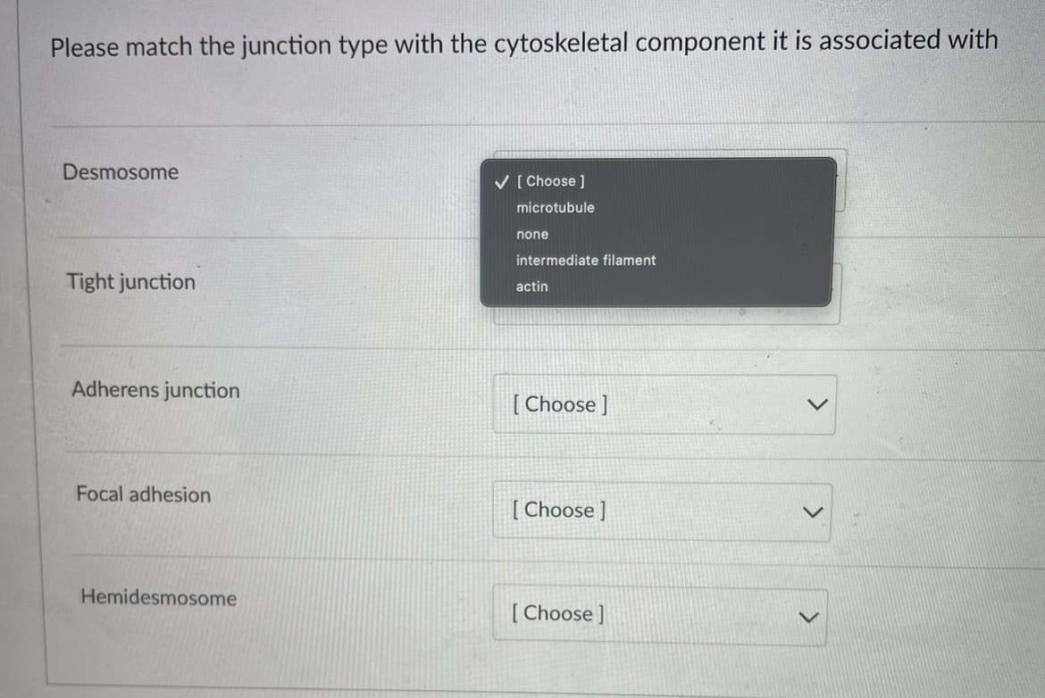 Please match the junction type with the cytoskeletal component it is associated with
Desmosome
Tight junction
Adherens junction
Focal adhesion
Hemidesmosome
✓ [Choose ]
microtubule
none
intermediate filament
actin
[Choose ]
[Choose ]
[Choose ]
