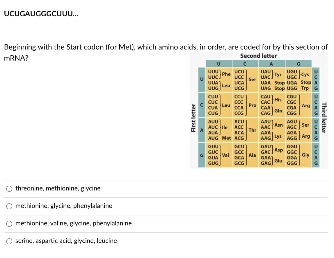 UCUGAUGGGCUUU...
Beginning with the Start codon (for Met), which amino acids, in order, are coded for by this section of
mRNA?
Second letter
threonine, methionine, glycine
methionine, glycine, phenylalanine
methionine, valine, glycine, phenylalanine
serine, aspartic acid, glycine, leucine
First letter
G
U
UUU phe
UUC.
UUA
UUG
CUU
CUC
CUA
CUG
Leu
Leu
GUU
GUC
GUA
GUG
AUU
AUC lle
ACU
ACC
AUA
ACA
AUG Met ACG
UCU
UCC
UCA
UCG
Val
CCU
CCC
CCA
CCG
GCU
GCC
GCA
GCG
Ser
Pro
Thr
Ala
CAU
CACJ
CAA
CAG
UAU
UGU
UGC
Tyr
Cys
UAC
UAA Stop UGA Stop A
UAG Stop UGG Trp G
His
Gln
AAU Asn
AAC
AAA
AAG Lys
GAUT
GAC
GAAT
GAG
G
CGU
CGC
CGA
CGG
AGU 1
Ser
AGC
AGA
AGG
GGU
Asp GGC
GGA
Glu
GGG
Arg
Arg
DUAG DUAU DUAG ULAG
Third letter
Gly