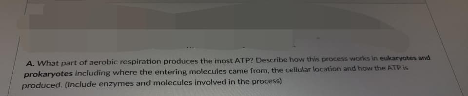 A. What part of aerobic respiration produces the most ATP? Describe how this process works in eukaryotes and
prokaryotes including where the entering molecules came from, the cellular location and how the ATP is
produced. (Include enzymes and molecules involved in the process)