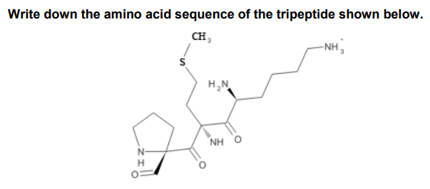 Write down the amino acid sequence of the tripeptide shown below.
CH
N-
H
H₂N
NH