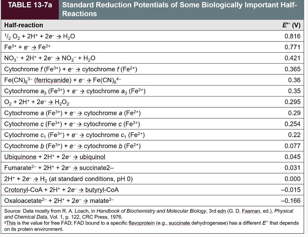 TABLE 13-7a Standard Reduction Potentials of Some Biologically Important Half-
Reactions
Half-reaction
E° (V)
¹/2 O₂ + 2H+ + 2e- → H₂O
0.816
Fe³+ + e Fe²+
0.771
NO3 + 2H+ + 2e → NO₂ + H₂O
0.421
Cytochrome f (Fe³+) + e- → cytochrome f (Fe²+)
0.365
Fe(CN)63- (ferricyanide) + e- → Fe(CN)64-
0.36
0.35
Cytochrome a3 (Fe³+) + ¯ → cytochrome a3 (Fe²+)
O₂ + 2H+ + 2e → H₂O₂
0.295
0.29
0.254
Cytochrome a (Fe³+) + e- → cytochrome a (Fe²+)
Cytochrome c (Fe³+) + e- cytochrome c (Fe²+)
Cytochrome (Fe³+) + e- → cytochrome c₁ (Fe²+)
Cytochrome b (Fe³+) + e- → cytochrome b (Fe²+)
Ubiquinone + 2H+ + 2e¯ → ubiquinol
0.22
0.077
0.045
Fumarate² + 2H+ + 2e → succinate2-
0.031
0.000
2H+ + 2e → H₂ (at standard conditions, pH 0)
Crotonyl-CoA + 2H+ + 2e → butyryl-CoA
-0.015
Oxaloacetate²- + 2H+ + 2e → malate²-
-0.166
Source: Data mostly from R. A. Loach, in Handbook of Biochemistry and Molecular Biology, 3rd edn (G. D. Fasman, ed.), Physical
and Chemical Data, Vol. 1, p. 122, CRC Press, 1976.
This is the value for free FAD; FAD bound to a specific flavoprotein (e.g., succinate dehydrogenase) has a different Eº that depends
on its protein environment.