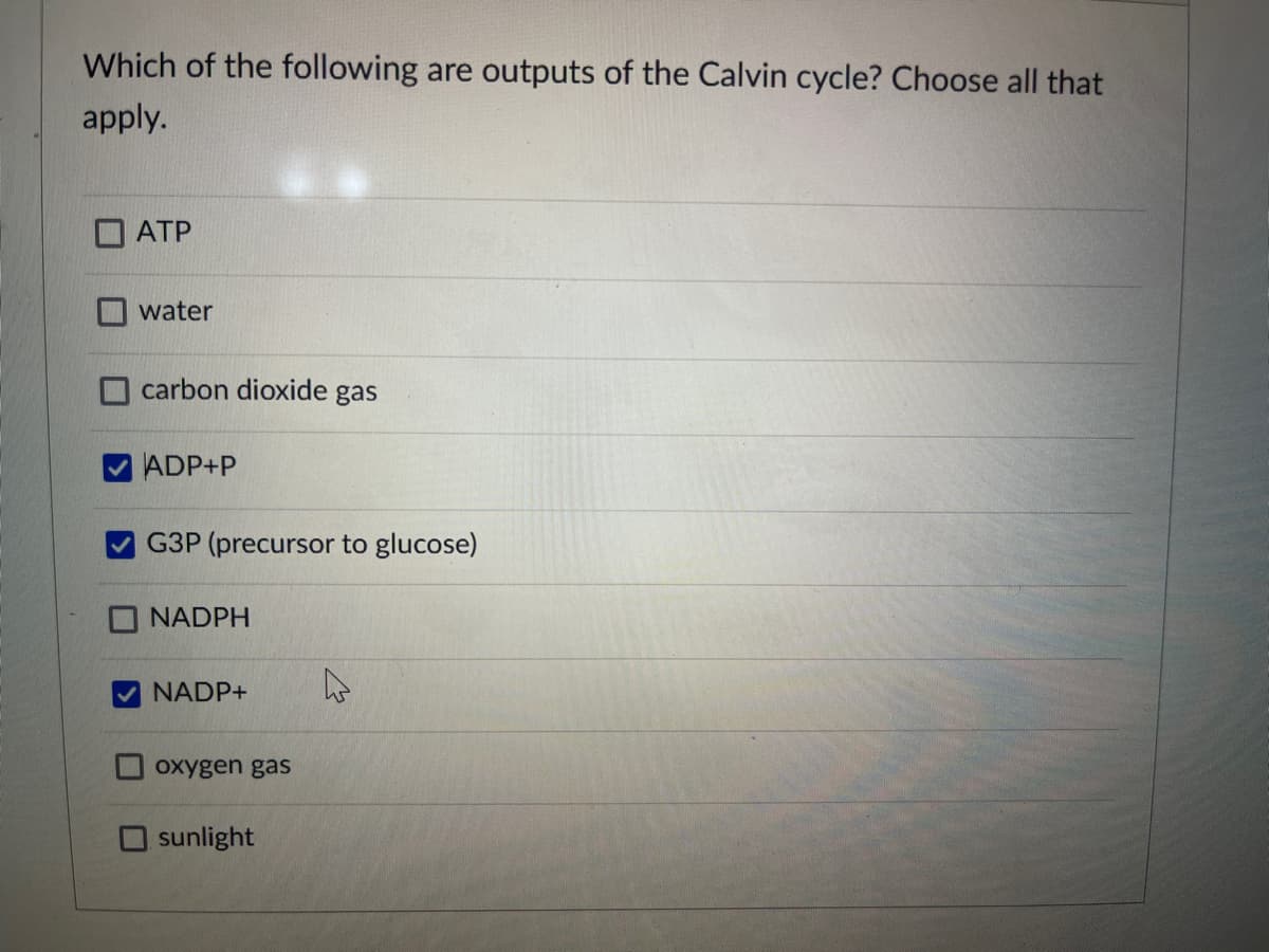 Which of the following are outputs of the Calvin cycle? Choose all that
apply.
ATP
water
carbon dioxide gas
ADP+P
G3P (precursor to glucose)
NADPH
NADP+
oxygen gas
sunlight
