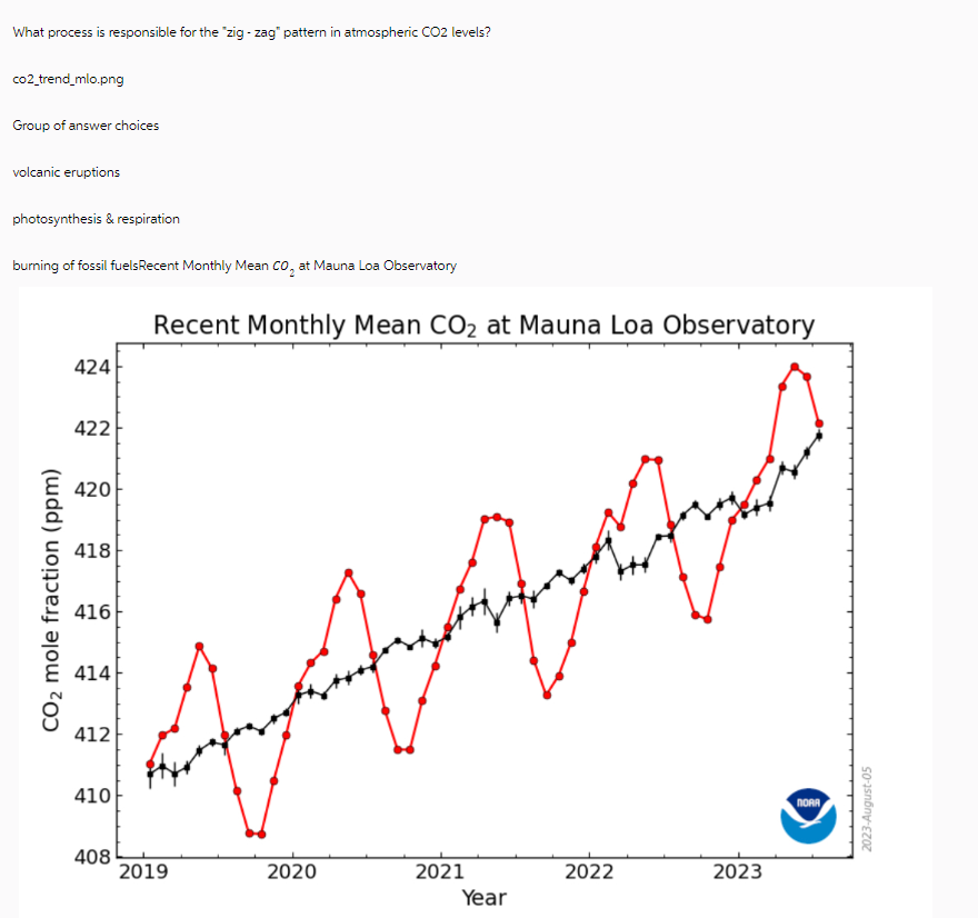 What process is responsible for the "zig-zag" pattern in atmospheric CO2 levels?
co2_trend_mlo.png
Group of answer choices
volcanic eruptions
photosynthesis & respiration
burning of fossil fuels Recent Monthly Mean CO₂ at Mauna Loa Observatory
CO₂ mole fraction (ppm)
424
422
420
418
416
414
412
Aging ing hig
410
Recent Monthly Mean CO₂ at Mauna Loa Observatory
408
2019
2020
2021
Year
2022
2023
ПОАА
2023-August-05