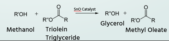 R'OH
Methanol
SnO Catalyst
R"O R
Triolein
Triglyceride
R"OH +
Glycerol
R'O R
Methyl Oleate