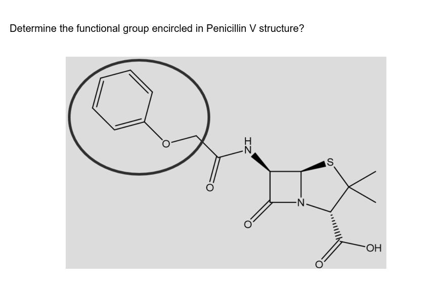 Determine the functional group encircled in Penicillin V structure?
-N-
IZ
