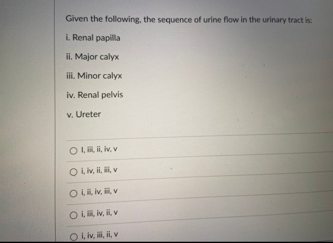 Given the following, the sequence of urine flow in the urinary tract is:
i. Renal papilla
ii. Major calyx
iii. Minor calyx
iv. Renal pelvis
v. Ureter
O I, iii, ii, iv, v
Oi, iv, ii, iii, v
O i, ii, iv, iii, v
O i, iii, iv, ii, v
O i, iv, iii, ii, v