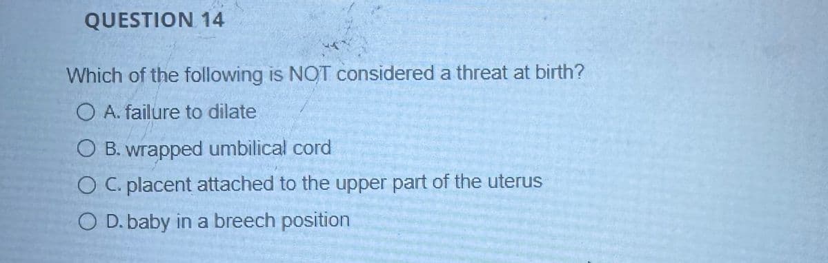 QUESTION 14
Which of the following is NOT considered a threat at birth?
O A. failure to dilate
O B. wrapped umbilical cord
O C. placent attached to the upper part of the uterus
O D. baby in a breech position