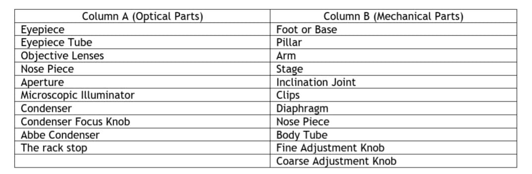 Column A (Optical Parts)
Column B (Mechanical Parts)
Eyepiece
Eyepiece Tube
Objective Lenses
Nose Piece
Foot or Base
Pillar
Arm
Stage
Inclination Joint
Aperture
Microscopic Illuminator
Condenser
Clips
Diaphragm
Nose Piece
Condenser Focus Knob
Body Tube
Fine Adjustment Knob
Coarse Adjustment Knob
Abbe Condenser
The rack stop
