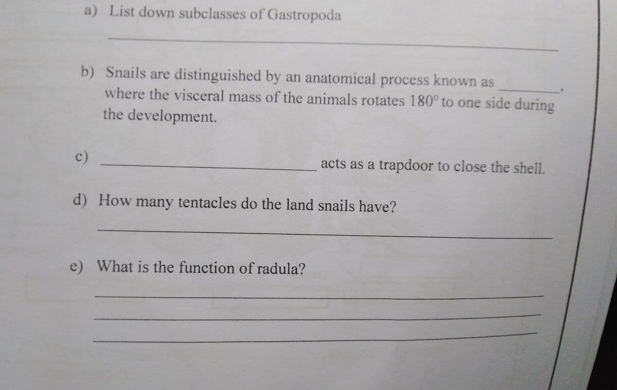 a) List down subclasses of Gastropoda
b) Snails are distinguished by an anatomical process known as
where the visceral mass of the animals rotates 180° to one side during
the development.
c)
acts as a trapdoor to close the shell.
d) How many tentacles do the land snails have?
e) What is the function of radula?
