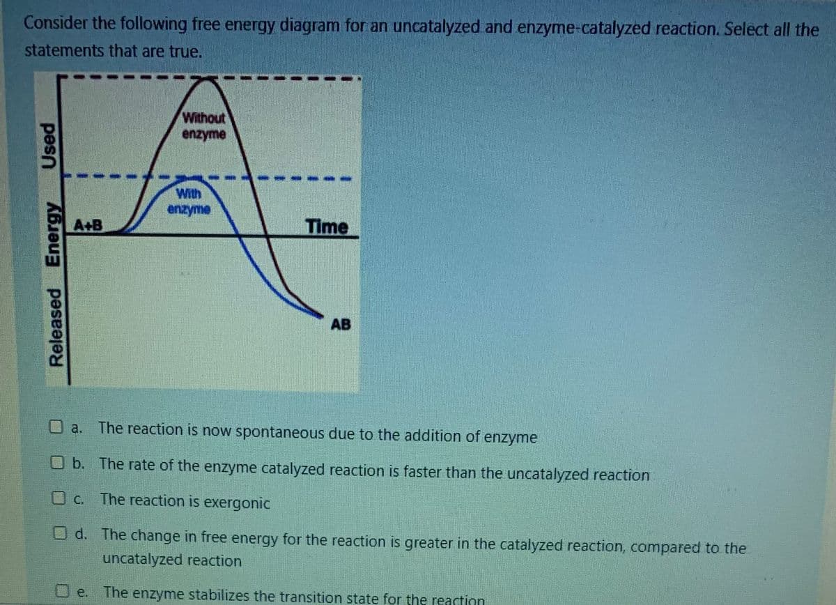 Consider the following free energy diagram for an uncatalyzed and enzyme-catalyzed reaction. Select all the
statements that are true.
Without
enzyme
With
enzyme
A+B
Time
AB
Oa. The reaction is now spontaneous due to the addition of enzyme
b. The rate of the enzyme catalyzed reaction is faster than the uncatalyzed reaction
O C. The reaction is exergonic
O d. The change in free energy for the reaction is greater in the catalyzed reaction, compared to the
uncatalyzed reaction
e. The enzyme stabilizes the transition state for the reaction
Released Energy
pes
